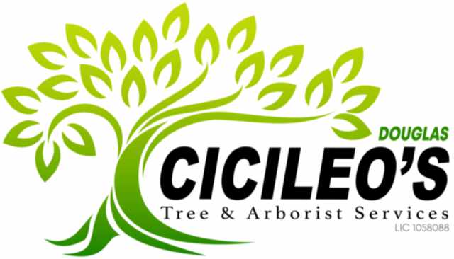 Douglas Cicileo Tree & Arborist Services