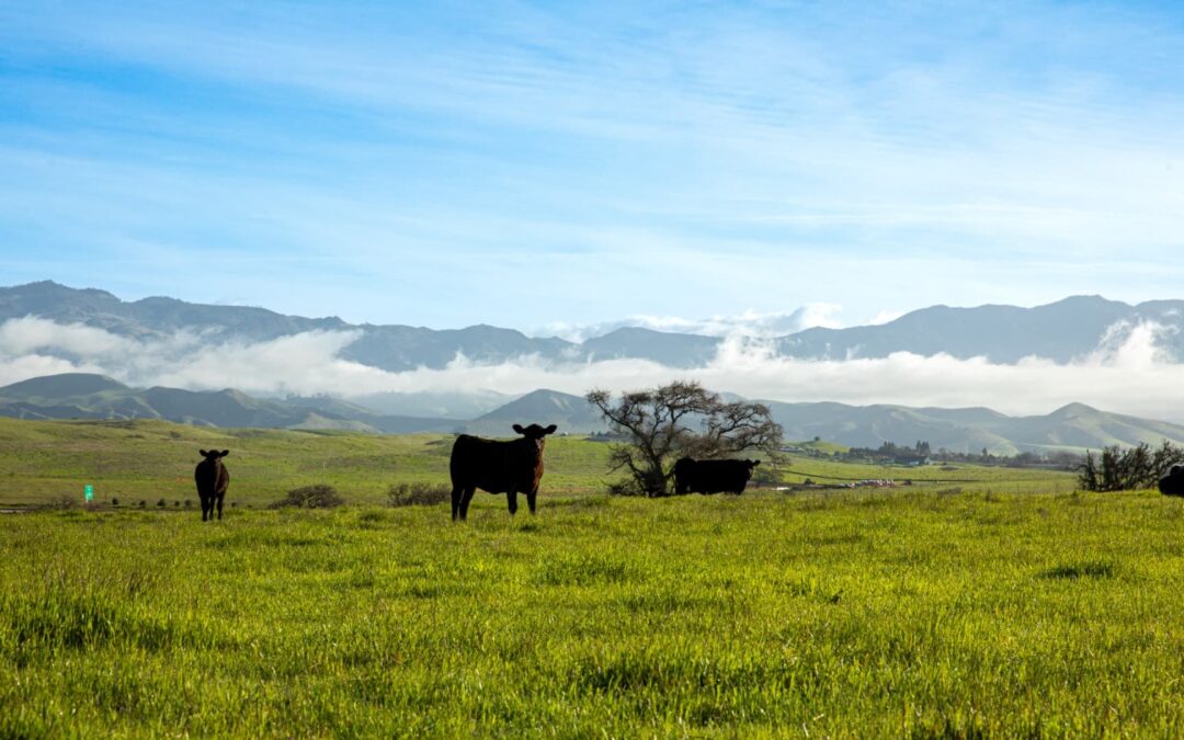 Heritage Farmland Touring Co.
